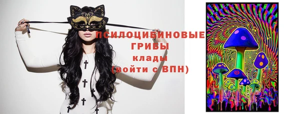 мет Протвино