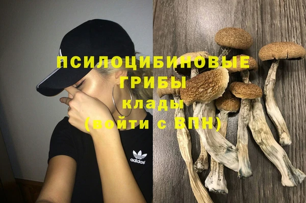 мет Протвино