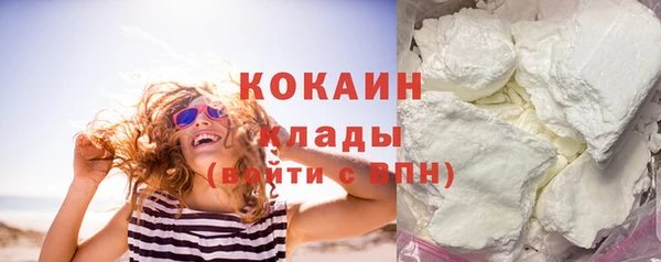 мет Протвино