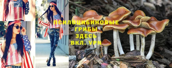 мет Протвино