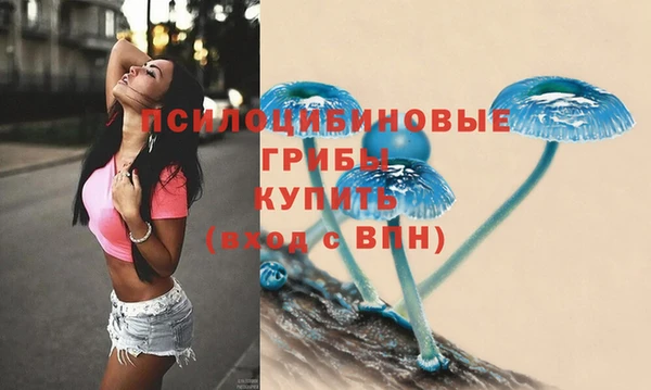 ECSTASY Пролетарск