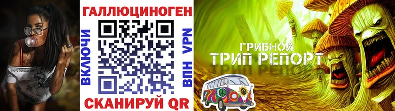 Галлюциногенные грибы Magic Shrooms  Купить где  Зеленодольск 